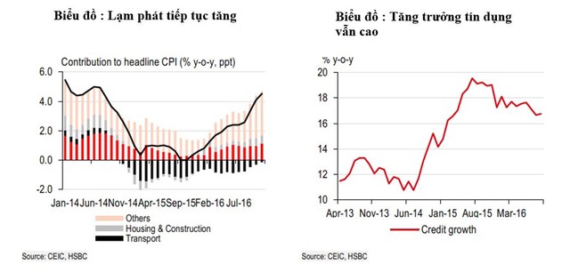 Nếu quyết tâm, Việt Nam sẽ có cơ hội giàu trước khi già ảnh 1