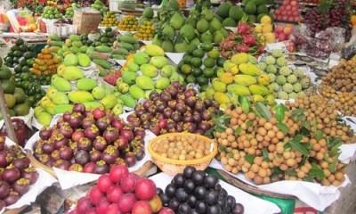 Agribank: Cùng Đồng bằng sông Cửu Long phát triển bền vững ảnh 2