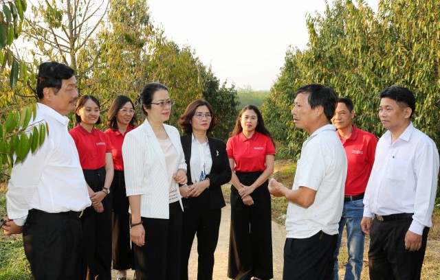 Agribank chào bán trái phiếu ra công chúng năm 2022 là sử dụng để tăng vốn cấp 2, tạo thêm nguồn vốn dài hạn đáp ứng nhu cầu vay vốn của các khách hàng cá nhân và tổ chức... như hộ nông dân Bùi Văn Quyển, xã Ya Ly, huyện Sa Thầy, tỉnh Kon Tum.