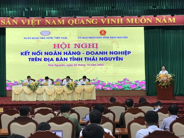 Bà Nguyễn Thị Vinh, Chủ tịch Hội nữ doanh nhân tỉnh Thái Nguyên, Phó Chủ tịch Hiệp hội Doanh nghiệp tỉnh Thái Nguyên, Tổng Giám đốc Công ty cổ phần Thương mại Thái Hưng phát biểu tại Hội nghị