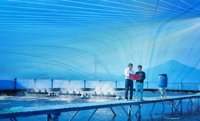 Các dự án được Agribank xem xét cho vay không chỉ trên phương diện tài chính mà còn trên tác động môi trường và xã hội