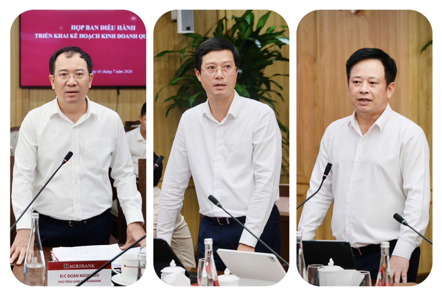 Các thành viên Ban điều hành phát biểu thảo luận tại cuộc họp Các thành viên Ban điều hành phát biểu thảo luận tại cuộc họp