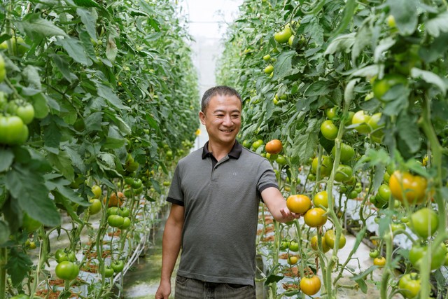 Khách hàng của BIDV với mô hình nông nghiệp hữu cơ tại Lâm Hà