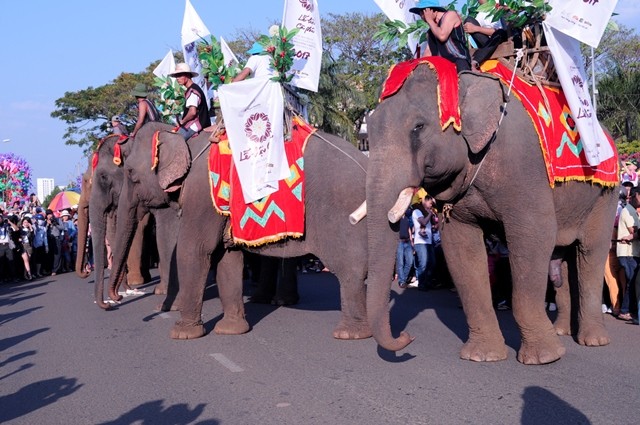 Lễ hội đường phố Buôn Ma Thuột: Hội tụ bản sắc văn hóa Tây Nguyên    ảnh 10