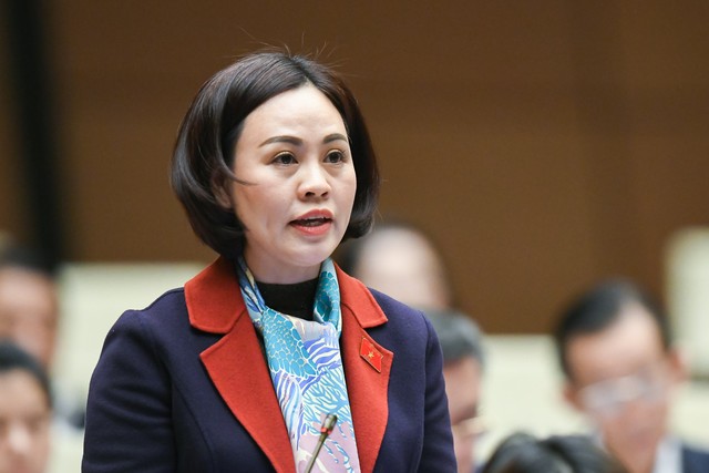 Đại biểu Trần Thị Hồng Thanh (đoàn Ninh Bình)