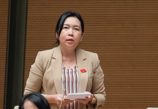 Đại biểu Lý Tiết Hạnh (đoàn Bình Định) Đại biểu Lý Tiết Hạnh (đoàn Bình Định)