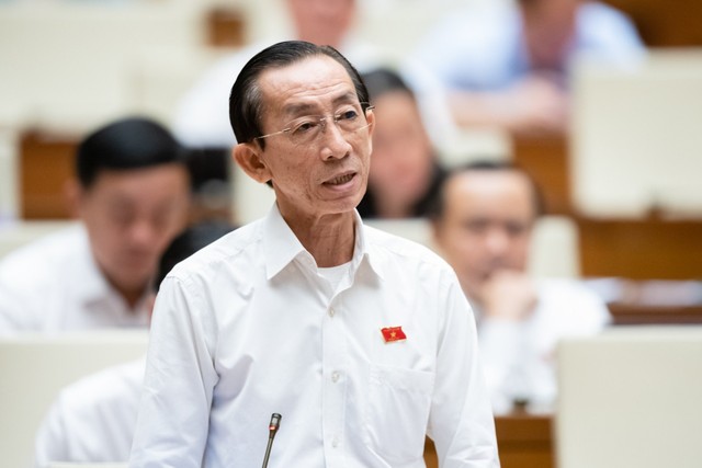 Đại biểu Trần Hoàng Ngân (đoàn TP Hồ Chí Minh)