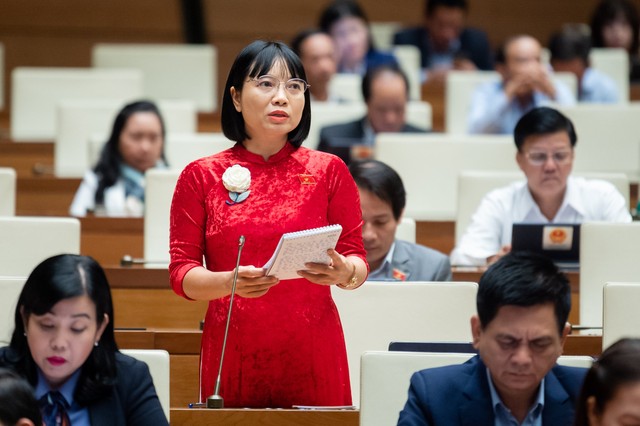 ĐBQH Nguyễn Thị Việt Nga (đoàn Hải Dương)