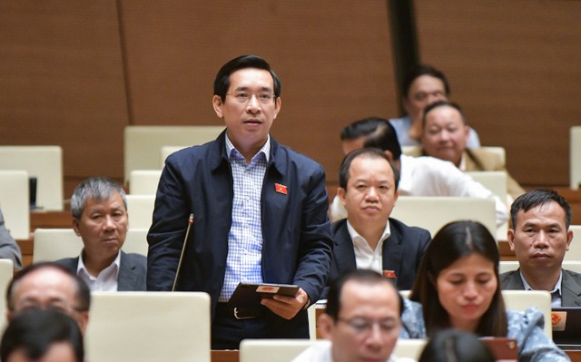 Đại biểu Nguyễn Văn Cảnh (đoàn Bình Định) Đại biểu Nguyễn Văn Cảnh (đoàn Bình Định)