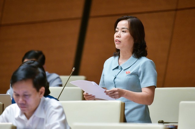 Đại biểu Lý Thị Lan (đoàn Hà Giang)