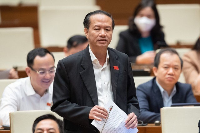 Đại biểu Đinh Ngọc Minh (đoàn Cà Mau)