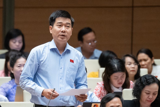 Đại biểu Lê Thanh Hoàn (đoàn Thanh Hoá)