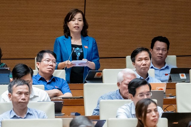 ĐBQH Lý Thị Lan (đoàn Hà Giang)