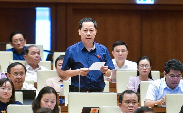 Đại biểu Trần Nhật Minh (đoàn Nghệ An)