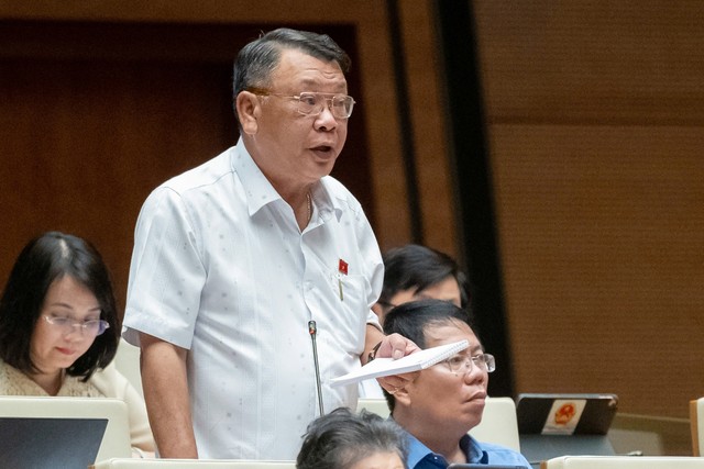 Đại biểu Nguyễn Tạo (đoàn Lâm Đồng)