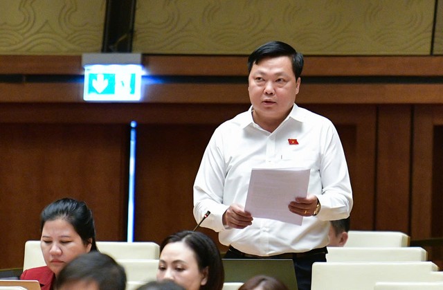 Đại biểu Phạm Hùng Thắng (đoàn Hà Nam) Đại biểu Phạm Hùng Thắng (đoàn Hà Nam)