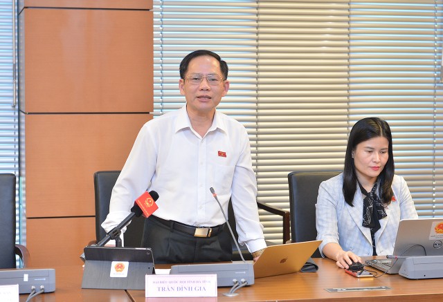 Đại biểu Trần Đình Gia (đoàn Hà Tĩnh)