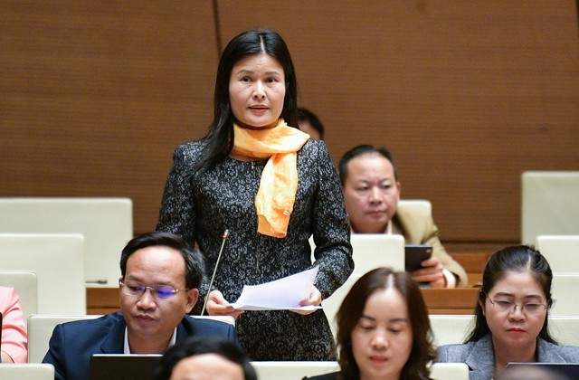 Đại biểu Bùi Thị Quỳnh Thơ (đoàn Hà Tĩnh)