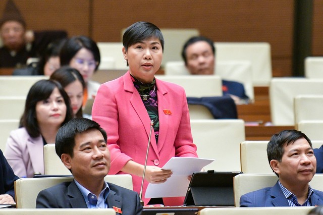 Đại biểu Đỗ Thị Thu Hằng (đoàn Đồng Nai)