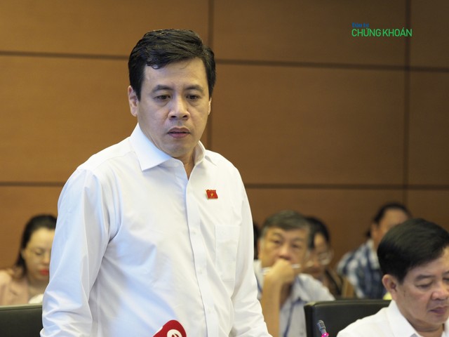 Đại biểu Trần Anh Tuấn (đoàn TP Hồ Chí Minh) - Ảnh: M.M