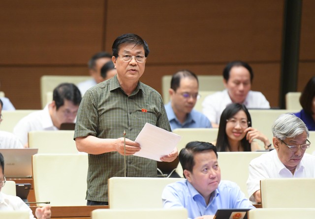 Đại biểu Đỗ Ngọc Thịnh (đoàn Khánh Hoà) Đại biểu Đỗ Ngọc Thịnh (đoàn Khánh Hoà)