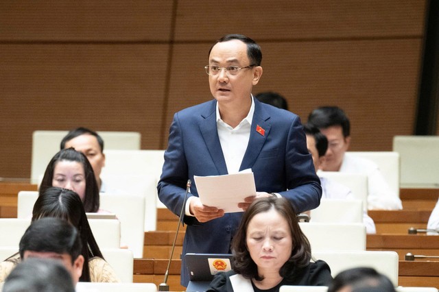 Đại biểu Nguyễn Ngọc Sơn (đoàn Hải Dương) Đại biểu Nguyễn Ngọc Sơn (đoàn Hải Dương)