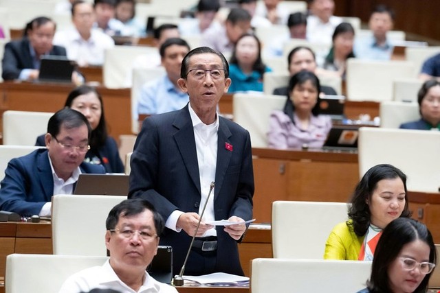 Đại biểu Trần Hoàng Ngân (đoàn TP Hồ Chí Minh)