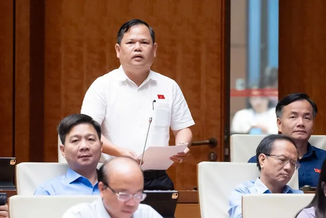 ĐBQH Nguyễn Duy Thanh (đoàn Cà Mau)