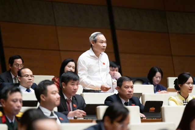 Đại biểu Phan Đức Hiếu (đoàn Hưng Yên)