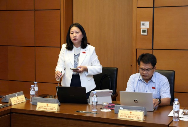 Đại biểu Huỳnh Thị Anh Thảo, đoàn ĐBQH tỉnh Gia Lai