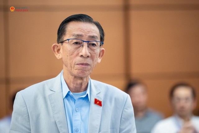 Đại biểu Trần Hoàng Ngân (đoàn TP HCM). Ảnh: quochoi.vn