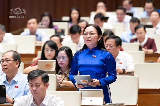 Đại biểu Lý Anh Thư (đoàn An Giang) Đại biểu Lý Anh Thư (đoàn An Giang)