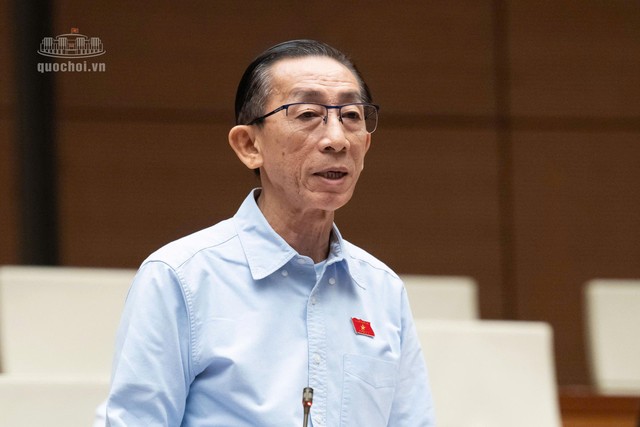 Đại biểu Trần Hoàng Ngân (đoàn TP.HCM)