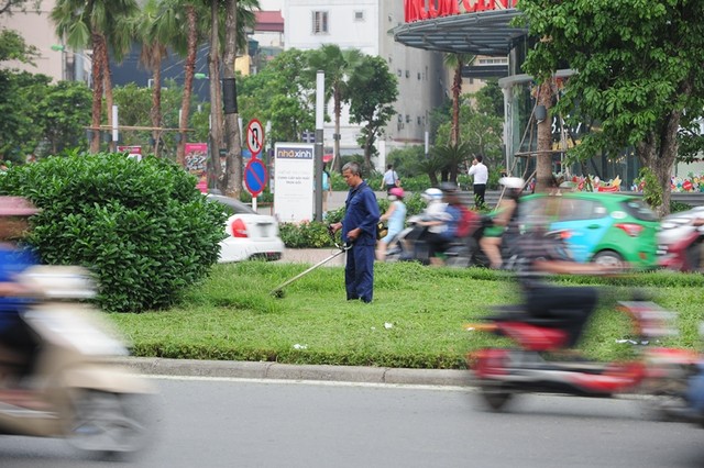 Hà Nội cắt cỏ trở lại: Người dân đỡ cảnh bị cỏ bít lối ảnh 11