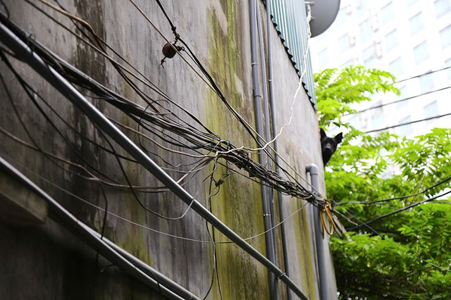 Bỏ nhà vì dự án treo của Nam Cường ảnh 11