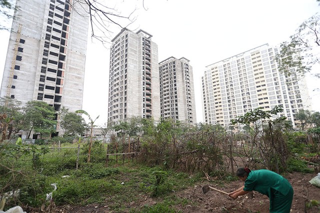 Kim tiêm giăng lối vào khu nhà bỏ hoang Pháp Vân - Tứ Hiệp ảnh 13