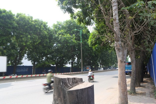 Người tham gia giao thông “thi vượt địa hình, chướng ngại vật” trên đường Phạm Văn Đồng ảnh 13