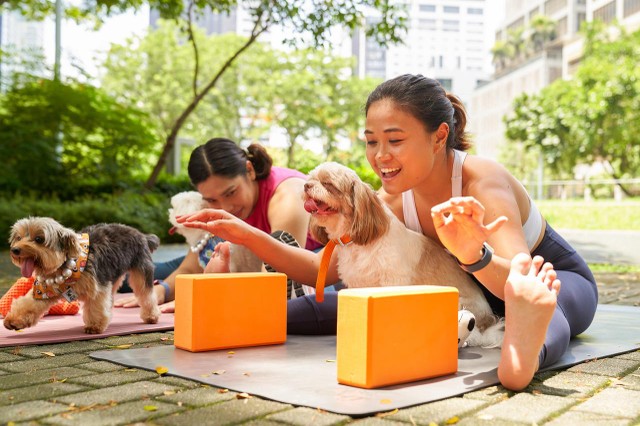 Mỗi người trong chúng ta đều có một câu chuyện của riêng mình và FWD sẵn sàng đồng hành để xây dựng một tinh thần vững vàng với các dịch vụ hoàn toàn miễn phí.