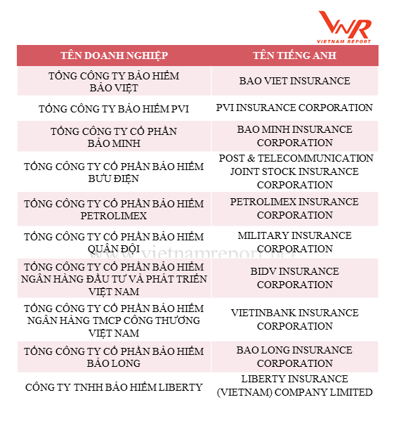 Công bố Top 10 công ty bảo hiểm uy tín năm 2018  ảnh 3