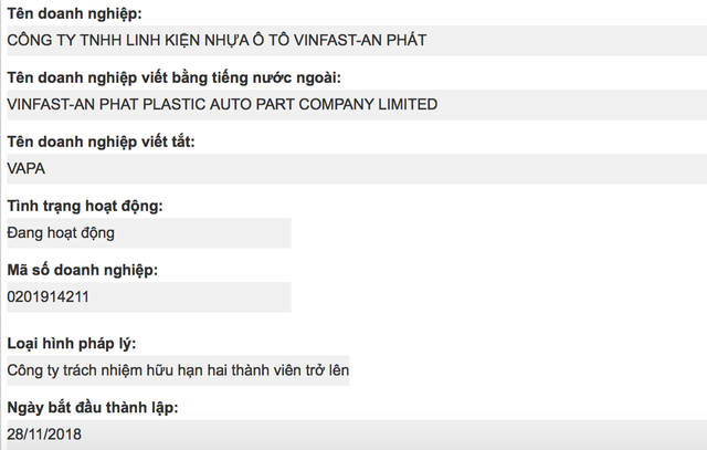 Vinfast bắt tay An Phát Holdings lập công ty linh kiện ô tô? ảnh 1