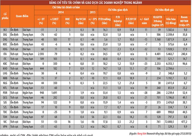 Bất động sản 2015: Triển vọng phục hồi ảnh 3