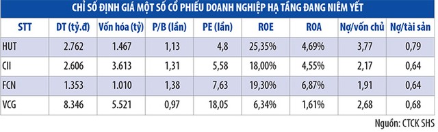 Cổ phiếu hạ tầng sẽ khởi sắc ảnh 1