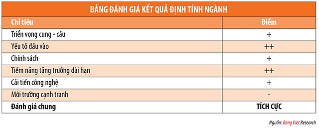 Ngành săm lốp 2015: Tiếp tục hưởng lợi từ chi phí đầu vào ảnh 2