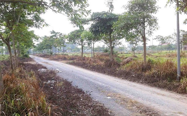 Hình ảnh hoang tàn của "siêu đô thị" Mê Linh ảnh 5 Hình ảnh hoang tàn của "siêu đô thị" Mê Linh ảnh 5