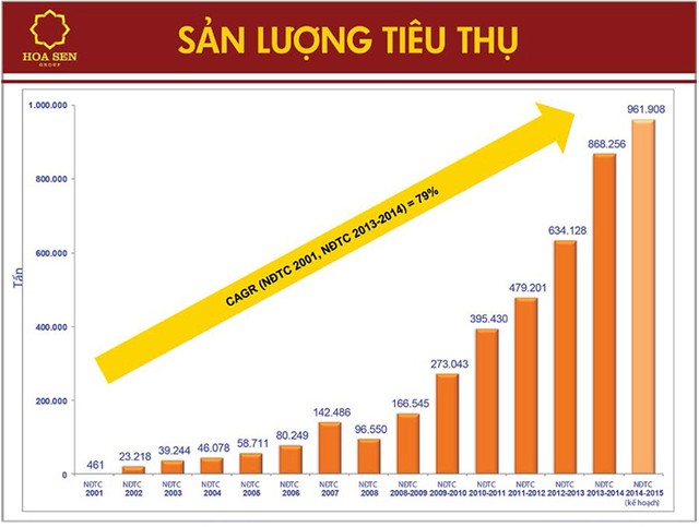 Tập đoàn Hoa Sen: Không ngừng vươn cao ảnh 2