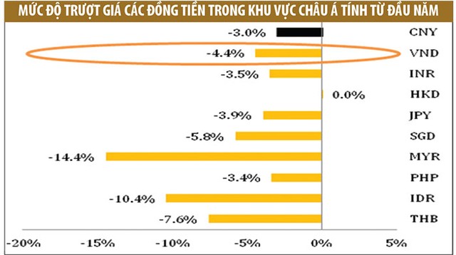 Áp lực tỷ giá đè nặng doanh nghiệp vay ngoại tệ lớn ảnh 1