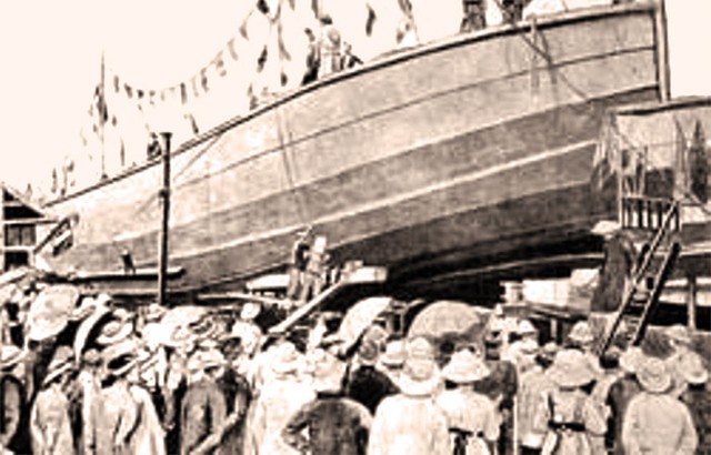 Bạch Thái Bưởi một tấm gương, một bài học ảnh 2