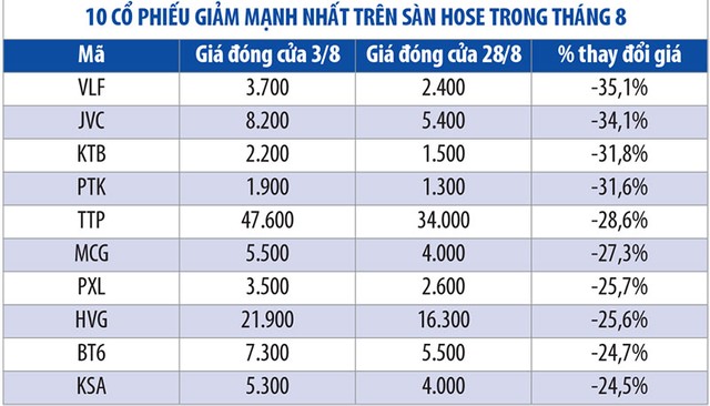 Những cổ phiếu biến động mạnh nhất tháng 8 ảnh 2
