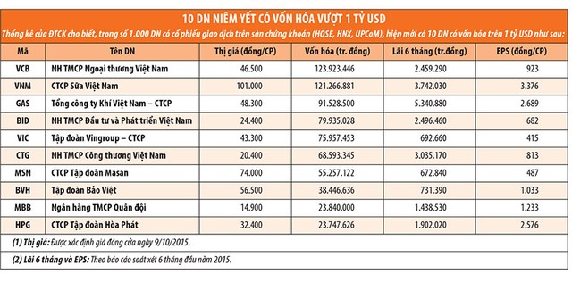 Muốn vững hội nhập, Việt Nam cần có nhiều DN lớn ảnh 1