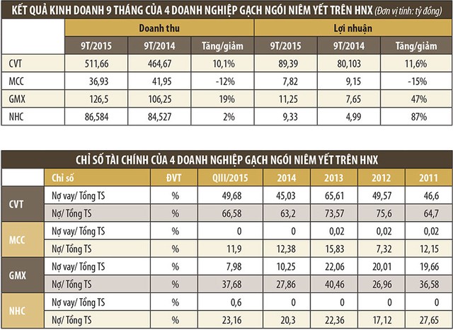 Doanh nghiệp gạch ngói “ăn theo” thị trường địa ốc ảnh 2